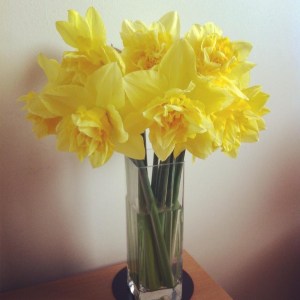 Daffs